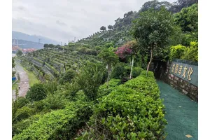 松鹤陵园墓地价格